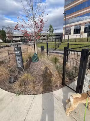 Canis Major Dog Park - Reston, VA