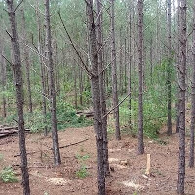 Richburg Park - Richburg, SC