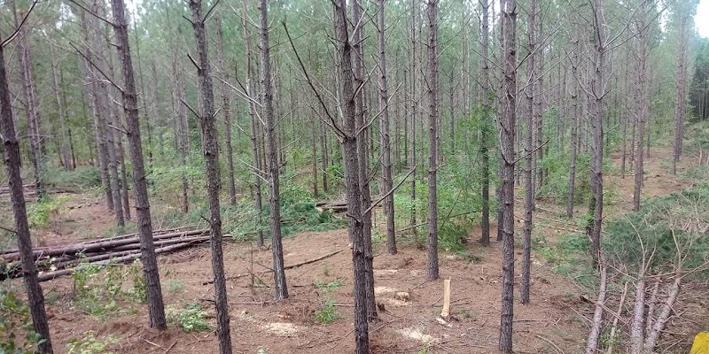 Richburg Park - Richburg, SC