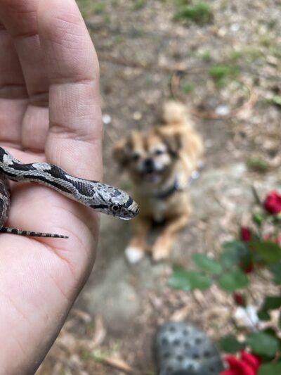 Richburg Park - Richburg, SC