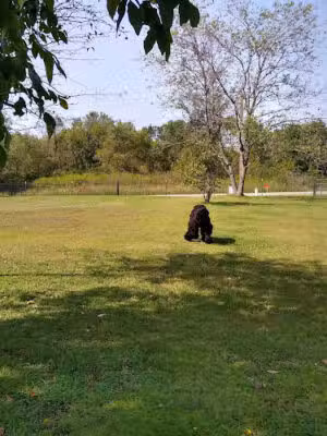 Dog Park of Richland Center - Richland Center, WI
