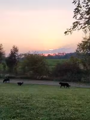 Richland Township Park - Richland,