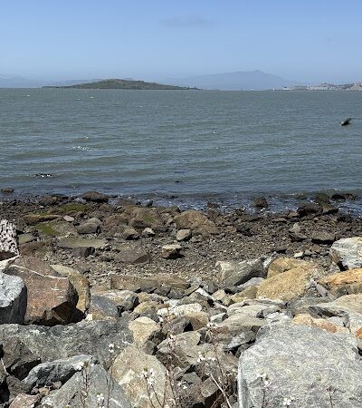 Point Isabel Dog Park - Richmond, CA