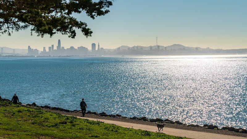 Point Isabel Dog Park - Richmond, CA