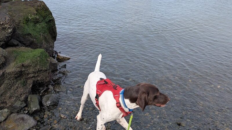 Point Isabel Dog Park - Richmond, CA