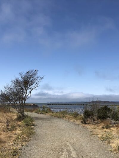 Point Isabel Dog Park - Richmond, CA