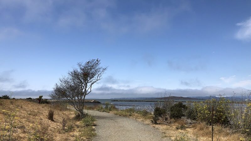 Point Isabel Dog Park - Richmond, CA