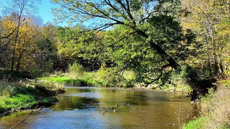 Columbus County Park Sledding Hill - Richmond,