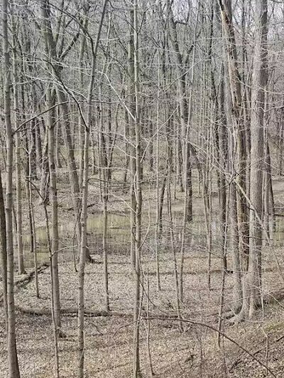 Columbus County Park Sledding Hill - Richmond,