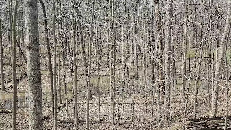 Columbus County Park Sledding Hill - Richmond,