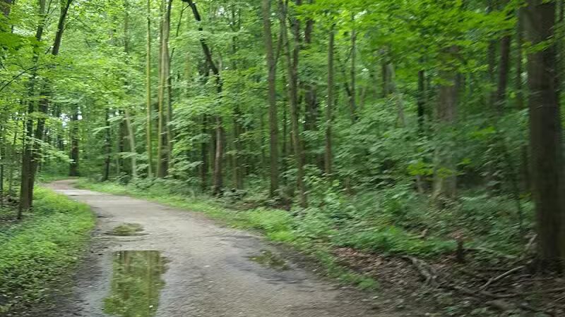 Columbus County Park Sledding Hill - Richmond,
