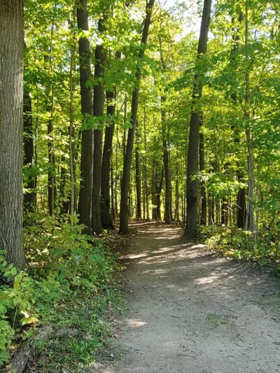 Columbus County Park Sledding Hill - Richmond,