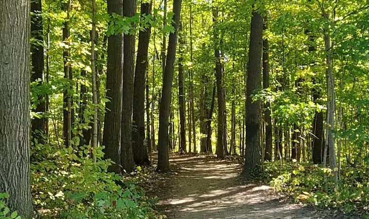 Columbus County Park Sledding Hill - Richmond,