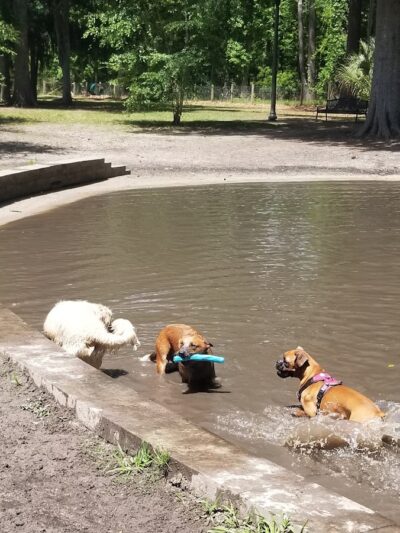 Bryan County Bark Park - Richmond Hill, GA