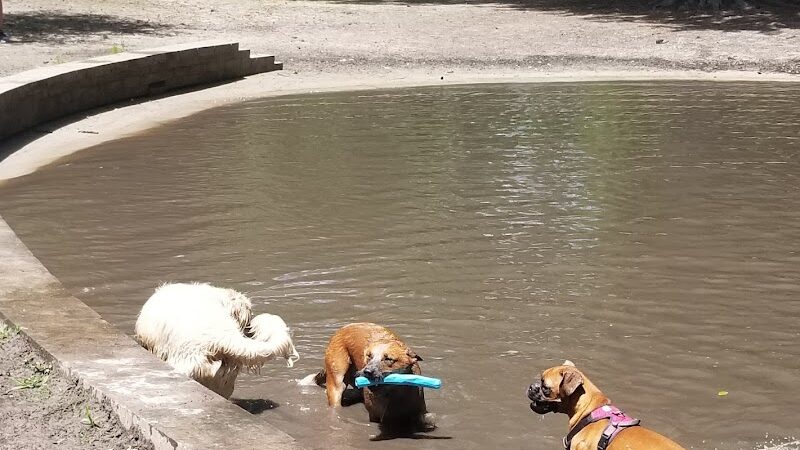 Bryan County Bark Park - Richmond Hill, GA