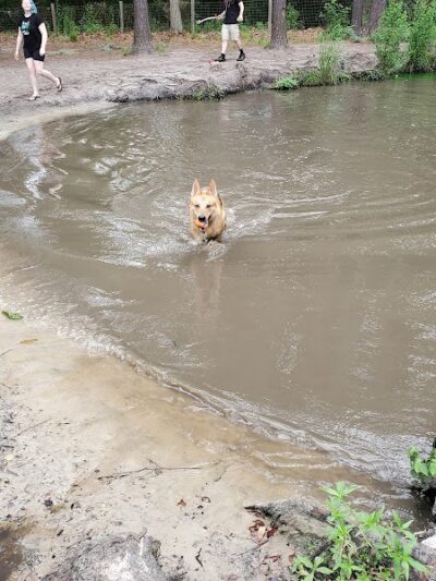 Bryan County Bark Park - Richmond Hill, GA
