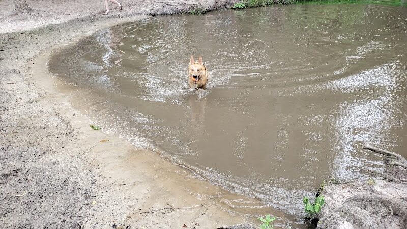 Bryan County Bark Park - Richmond Hill, GA