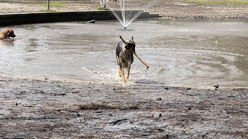 Bryan County Bark Park - Richmond Hill, GA