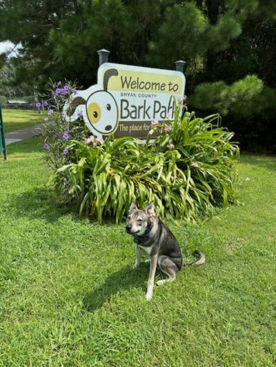 Bryan County Bark Park - Richmond Hill, GA