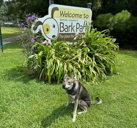 Bryan County Bark Park - Richmond Hill, GA