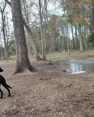 Bryan County Bark Park - Richmond Hill, GA