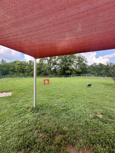 Hill's Bark Park - Richmond, IN