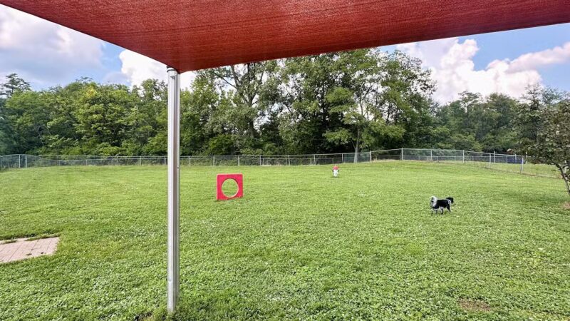 Hill's Bark Park - Richmond, IN