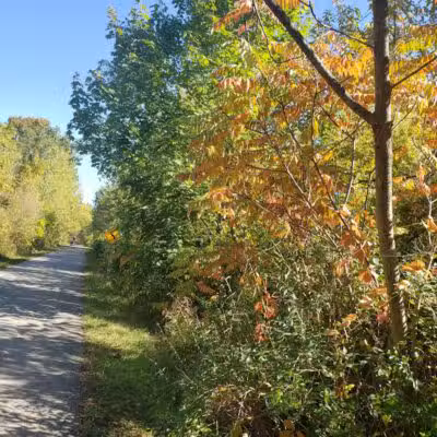 Macomb Orchard Trail - Richmond Trailhead - Richmond,