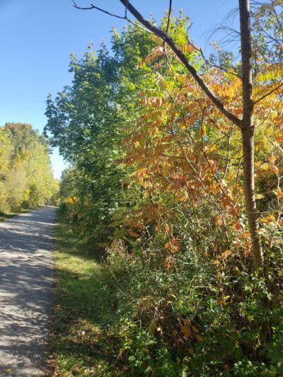 Macomb Orchard Trail - Richmond Trailhead - Richmond,