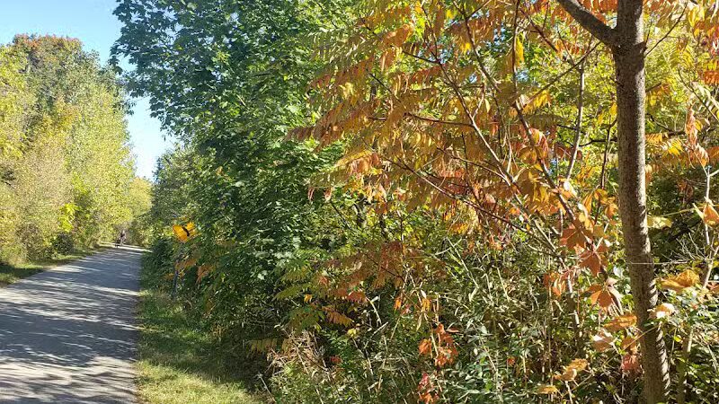 Macomb Orchard Trail - Richmond Trailhead - Richmond,