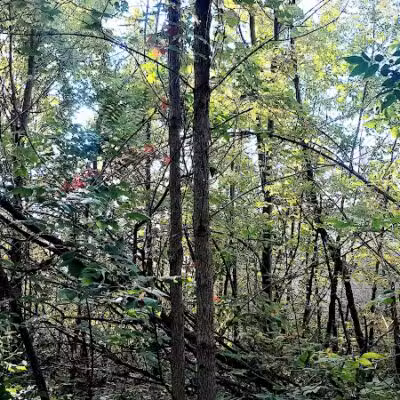 Macomb Orchard Trail - Richmond Trailhead - Richmond,
