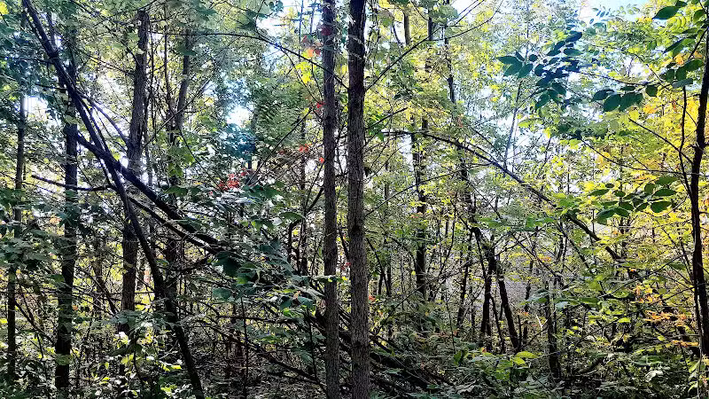 Macomb Orchard Trail - Richmond Trailhead - Richmond,