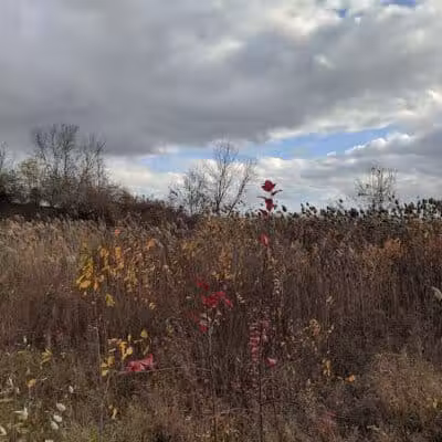Macomb Orchard Trail - Richmond Trailhead - Richmond,