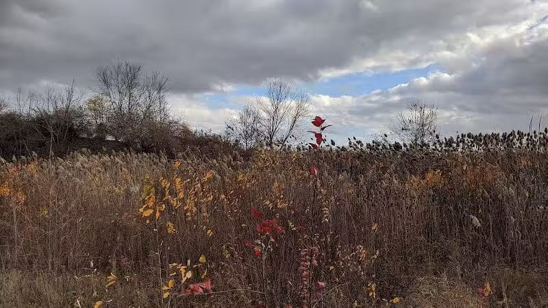 Macomb Orchard Trail - Richmond Trailhead - Richmond,