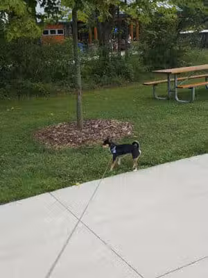 Columbus County Park Sledding Hill - Richmond,