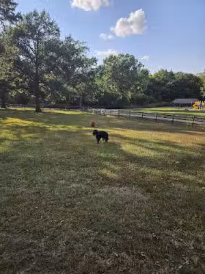 Wiggly Field Dog Park - Richmond, MO