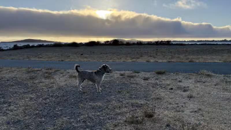 Point Isabel Dog Park - Richmond, CA
