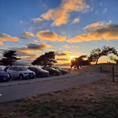 Point Isabel Dog Park - Richmond, CA