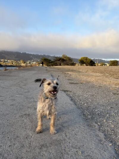 Point Isabel Dog Park - Richmond, CA