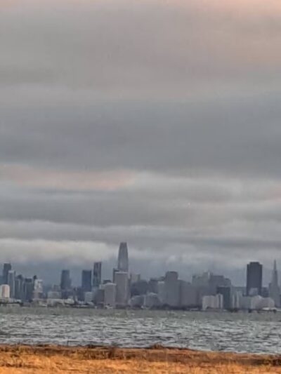 Point Isabel Dog Park - Richmond, CA