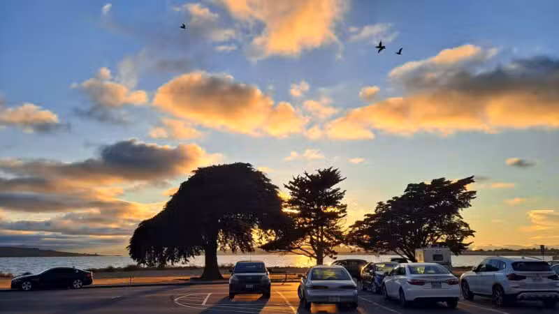 Point Isabel Dog Park - Richmond, CA