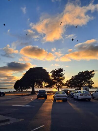 Point Isabel Dog Park - Richmond, CA
