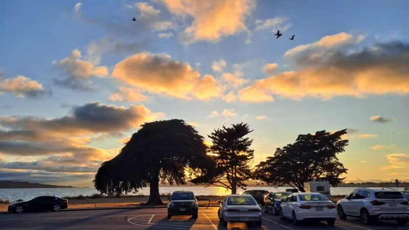 Point Isabel Dog Park - Richmond, CA