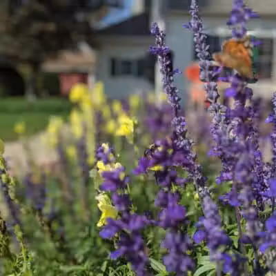 Richmond Parks & Recreation - Richmond,