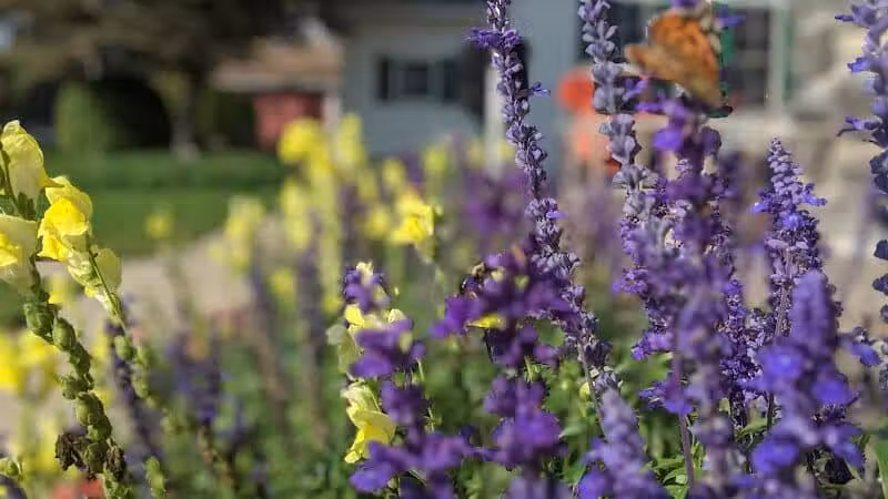 Richmond Parks & Recreation - Richmond,