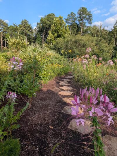 Short Pump Park - Ridge, VA