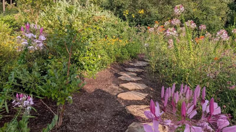 Short Pump Park - Ridge, VA