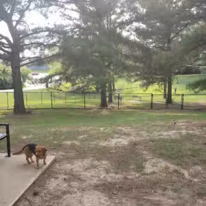 Dog Park at The Rez - Ridgeland, MS