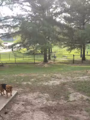 Dog Park at The Rez - Ridgeland, MS