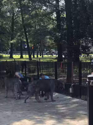 Ridgewood Dog Park - Ridgewood, NJ